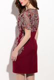 Mesh Embroidered Lace Bodycon Mini Dress