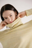 Pile Collar Long Sleeved Midi Dress