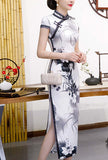 Vintage Oriental Cheongsam Style Maxi Prom Dress